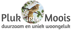 Webshop met edelstenen en bohemian lifestyle producten