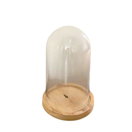 Glazen Stolp op Houten Plateau 14 x 23 cm