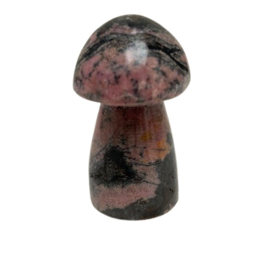 Rhodoniet Paddenstoel Nr.1