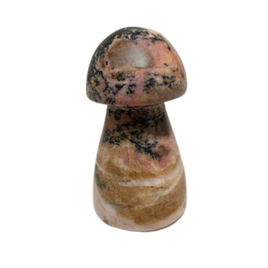 Rhodoniet Paddenstoel Nr.2