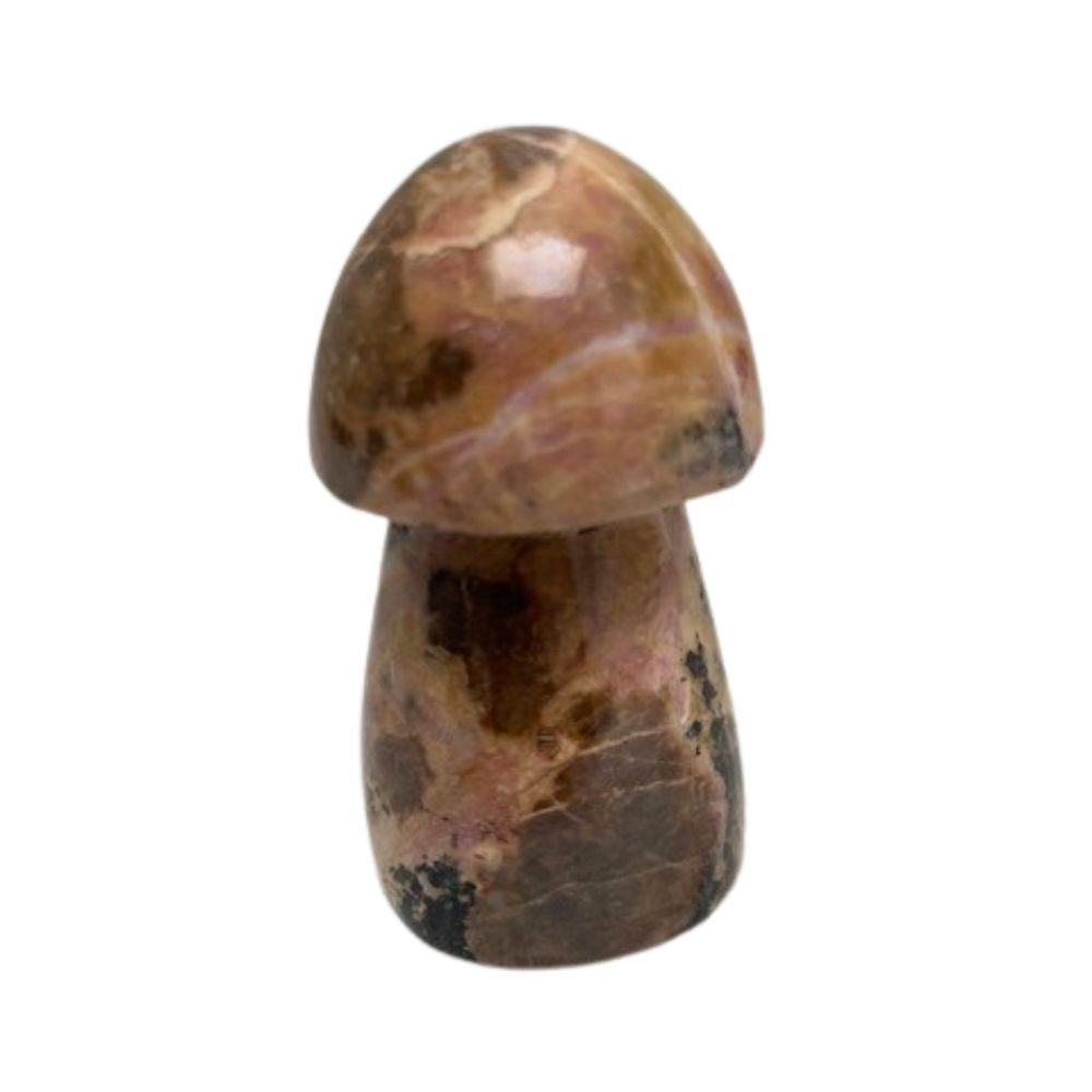 Rhodoniet Paddenstoel Nr.4