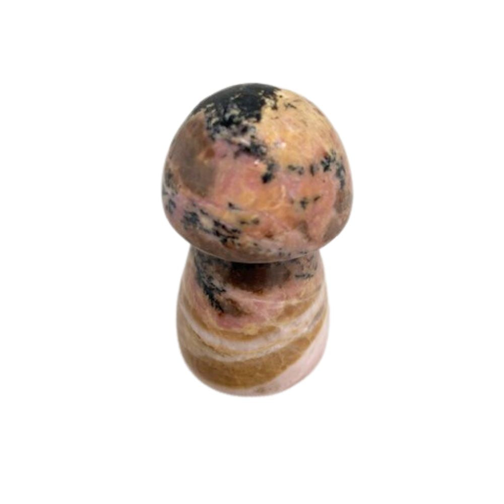 Rhodoniet Paddenstoel Nr.2