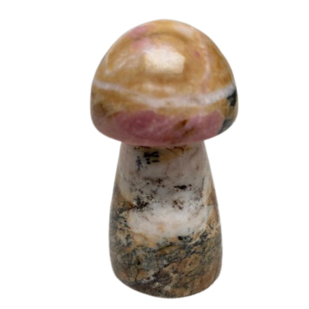 Rhodoniet Paddenstoel Nr.3