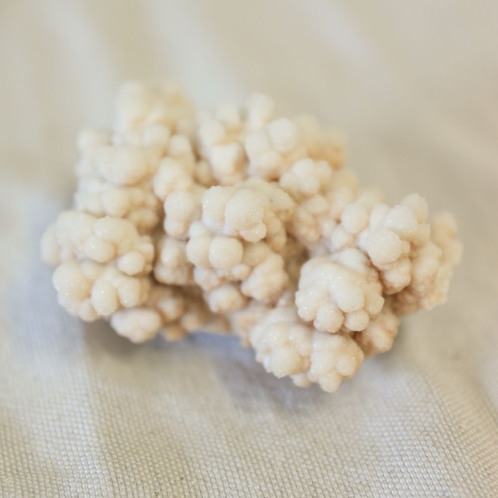 Cluster Aragoniet Wit 11 x 9 x 7 cm