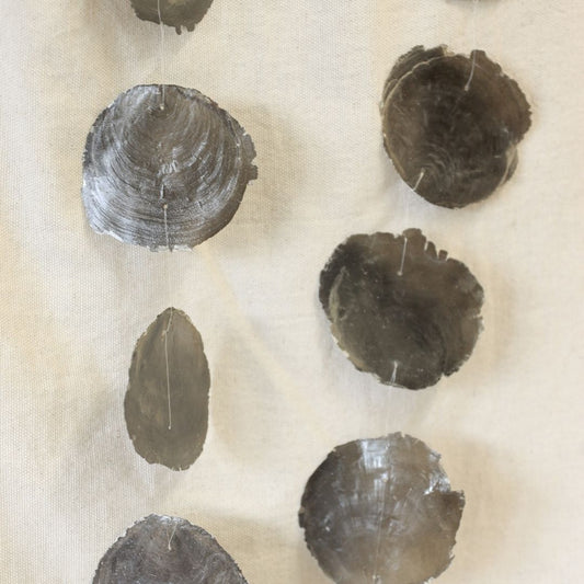 Schelpenslinger Capiz Antreciet