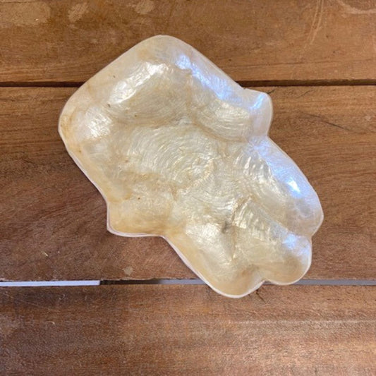 Schaaltje Capiz Schelp Hamsa