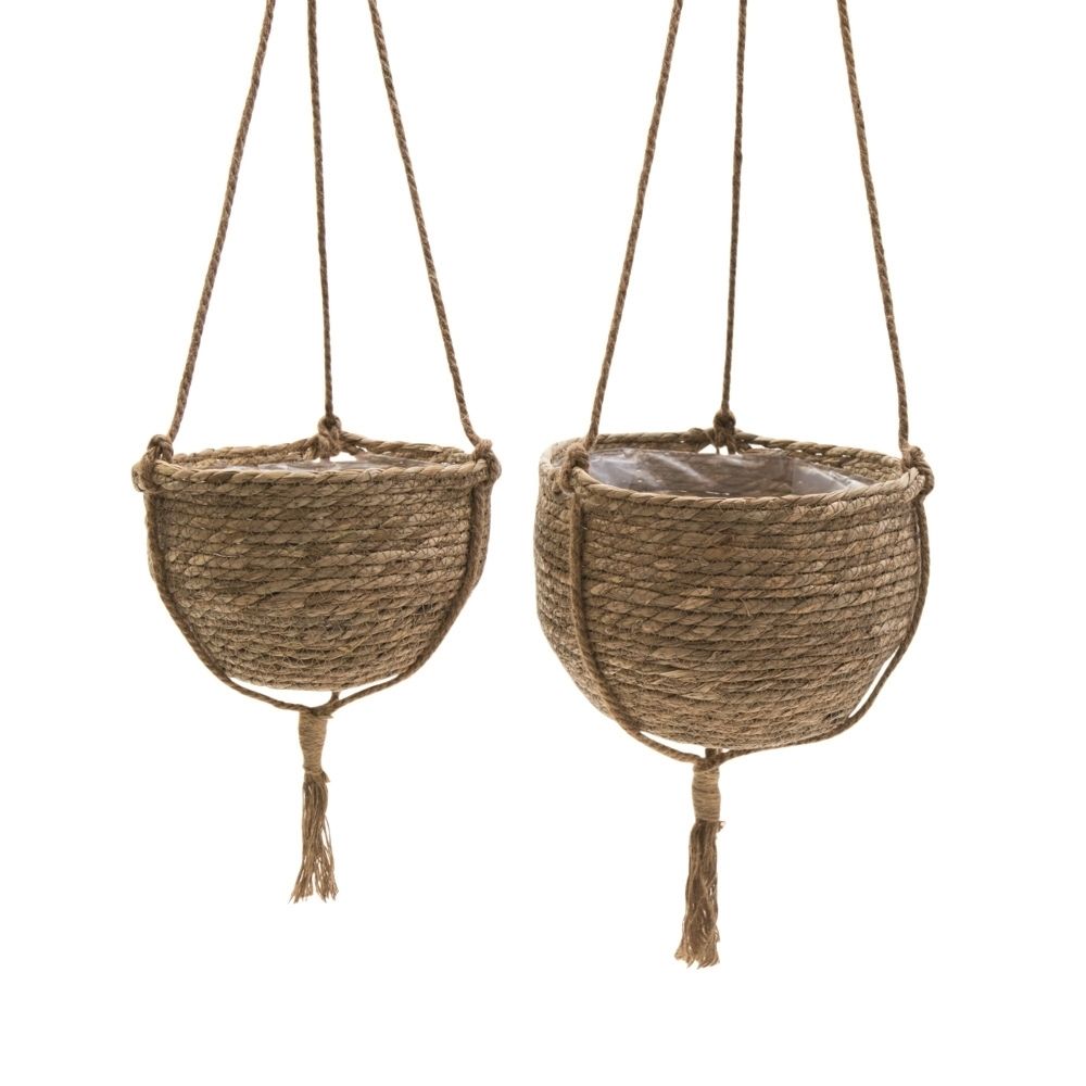 Plantenhangers van Zeegras