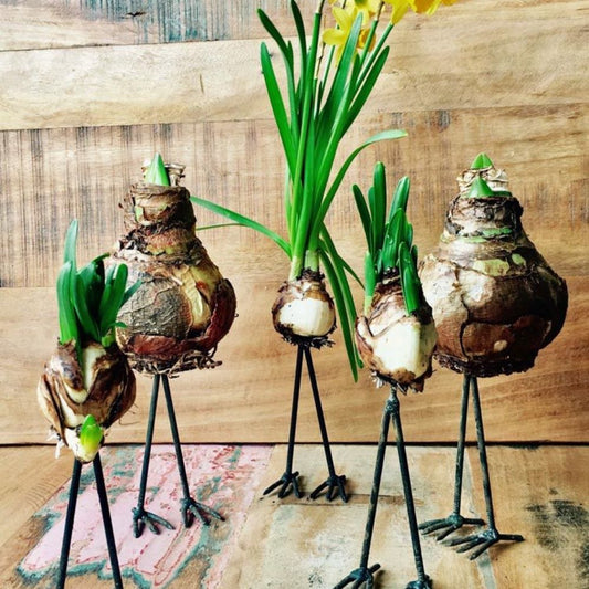 Vogelpootje zwart met daarop bloembollen geprikt.